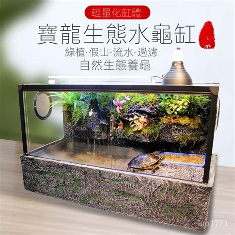 烏龜養殖|【烏龜缸diy】最全烏龜缸布置、造景、換水總整理，。